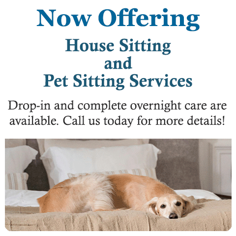 Pet Sitting and House Sitting